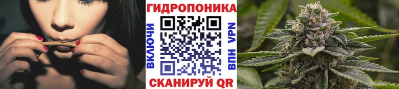 Шишки марихуана марихуана Вилючинск